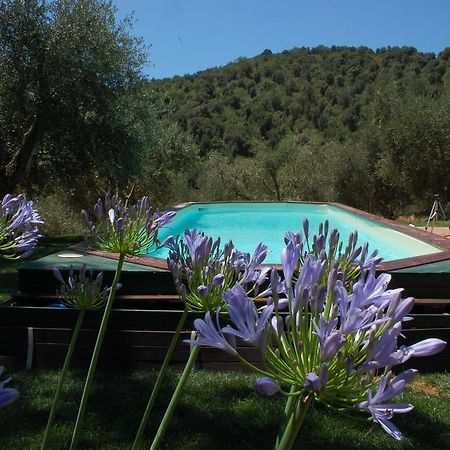 Il Pino Bed and Breakfast Vetulonia Buitenkant foto