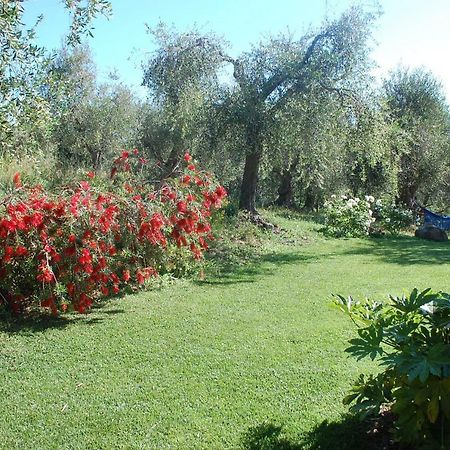 Il Pino Bed and Breakfast Vetulonia Buitenkant foto