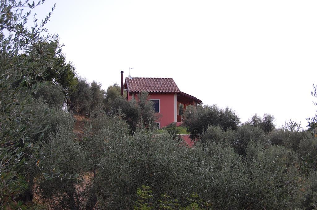Il Pino Bed and Breakfast Vetulonia Buitenkant foto