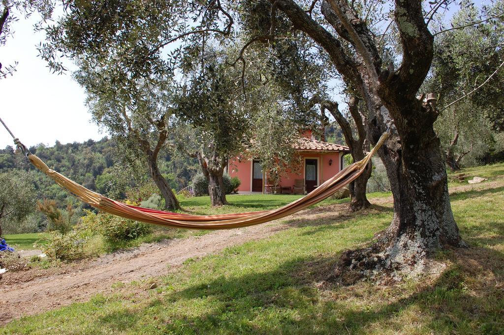 Il Pino Bed and Breakfast Vetulonia Buitenkant foto