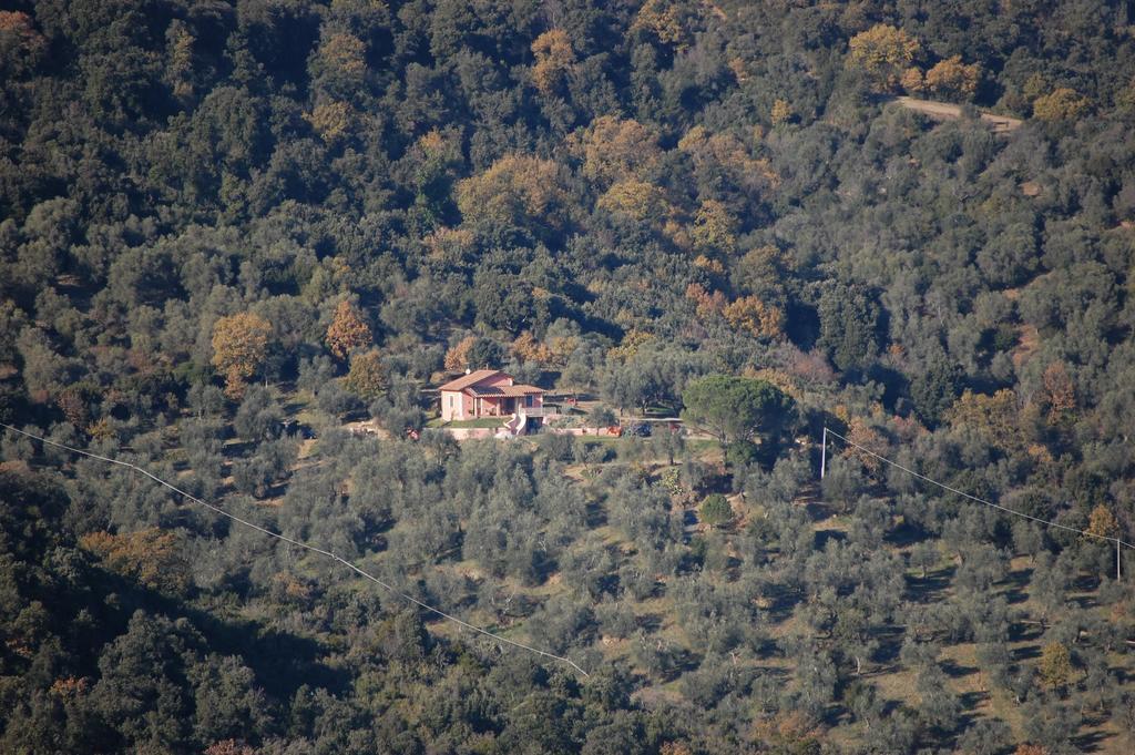 Il Pino Bed and Breakfast Vetulonia Buitenkant foto