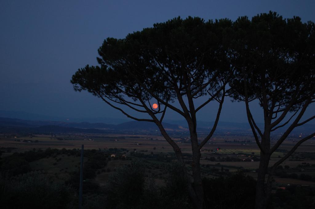 Il Pino Bed and Breakfast Vetulonia Buitenkant foto