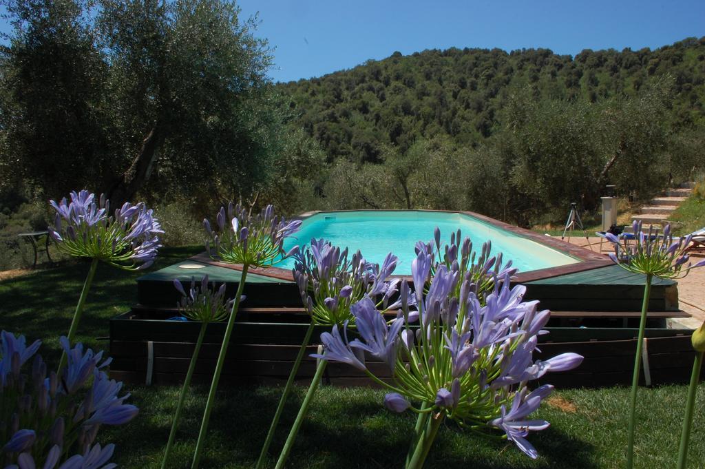 Il Pino Bed and Breakfast Vetulonia Buitenkant foto